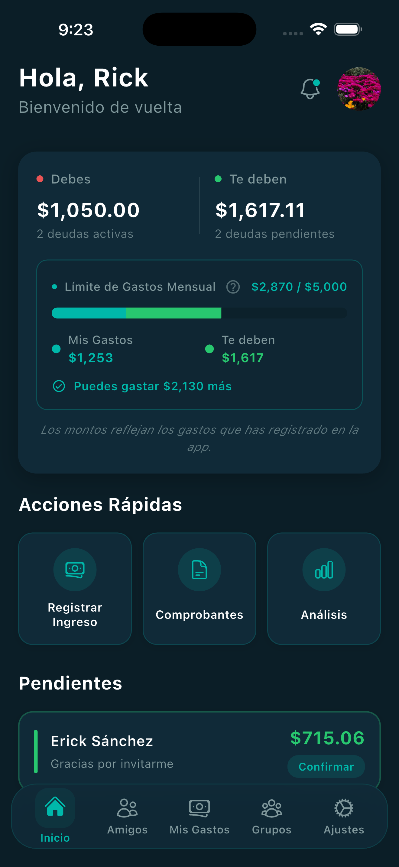 Vista previa de la app — balances en tiempo real