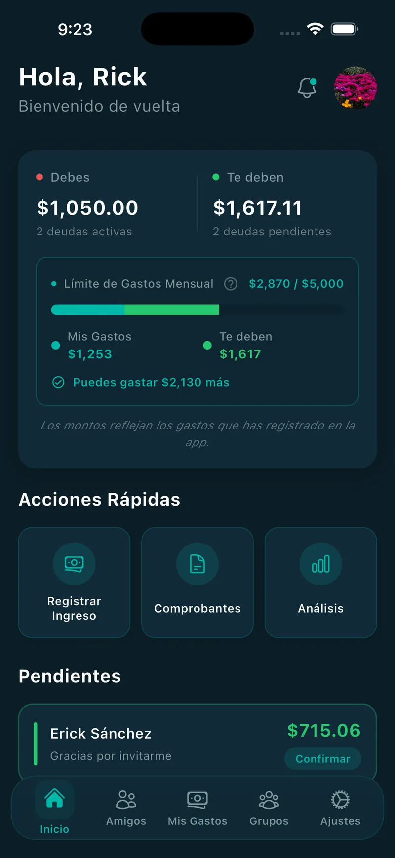 Vista previa de la app — balances en tiempo real
